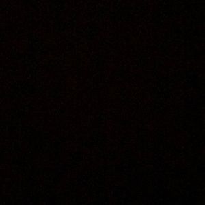 Meet your Posher, Sophie